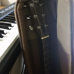 穿越成肉奴的婬乱生活
